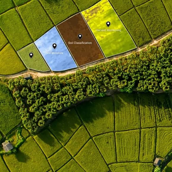 Field Analysis